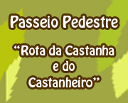 passeio pedestre