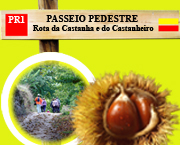 passeio pedestre