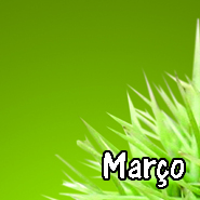 marco