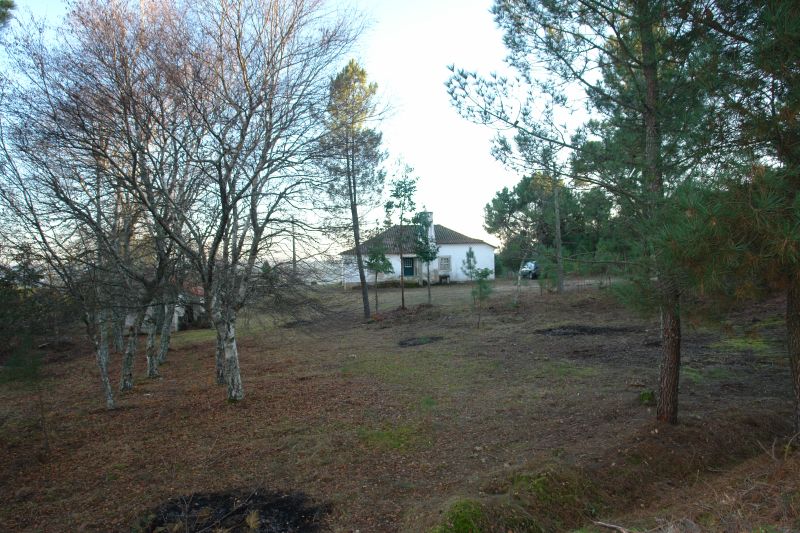 Vigilantes florestais do Município de Sernancelhe protegem a floresta e o património
