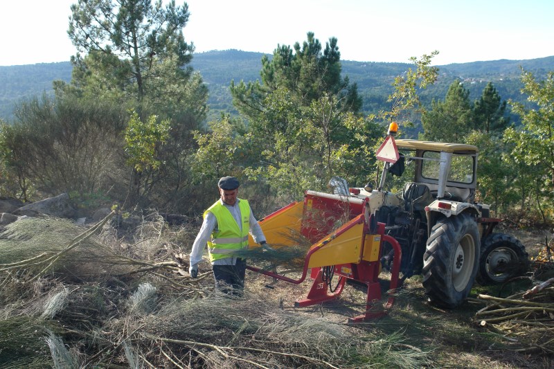 Sernancelhe aposta na prevenção para proteger a floresta