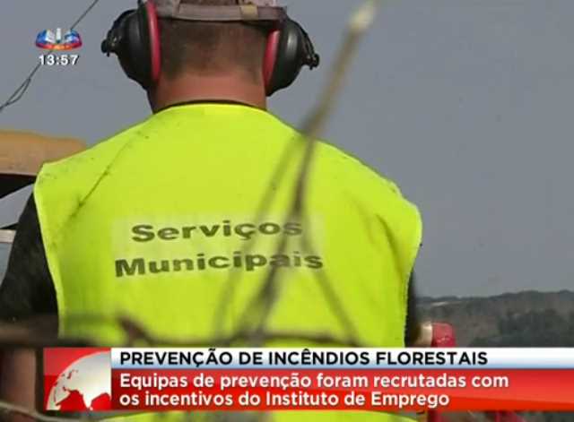 Aposta na floresta de Sernancelhe em destaque no Primeiro Jornal da SIC