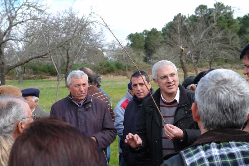 Dia aberto do Souto e do Castanheiro ensinou a fazer colheita de borbulhas para enxertia