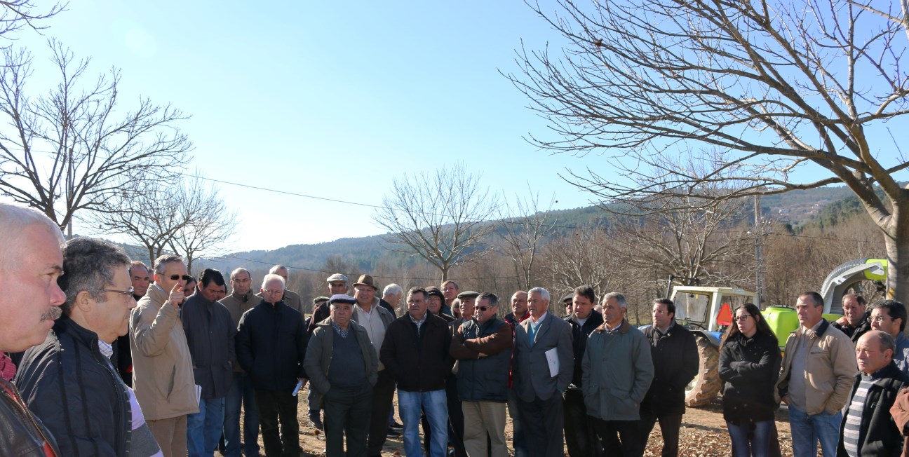 Universidade de Trás-os-Montes e Alto Douro e Município de Sernancelhe vão lançar livro sobre a castanha e o castanheiro