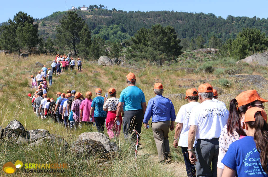 Utentes dos Centros Lúdicos e crianças do ATL realizaram percurso pedestre pelos trilhos do Távora