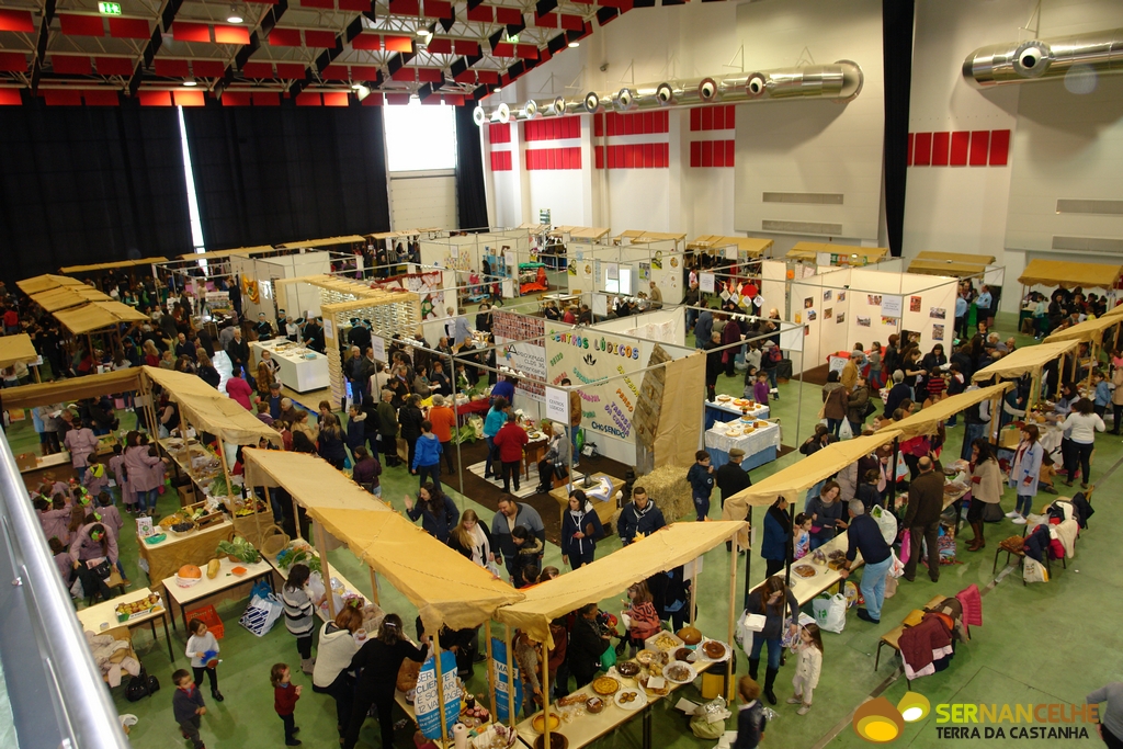 Feira de São Martinho, no Expo Salão, um “Encontro de gerações”