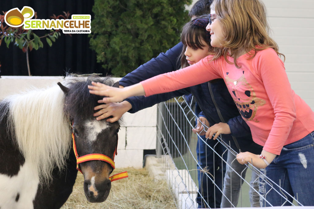 Sernancelhe organizou  IV Expo Jardim e Animais