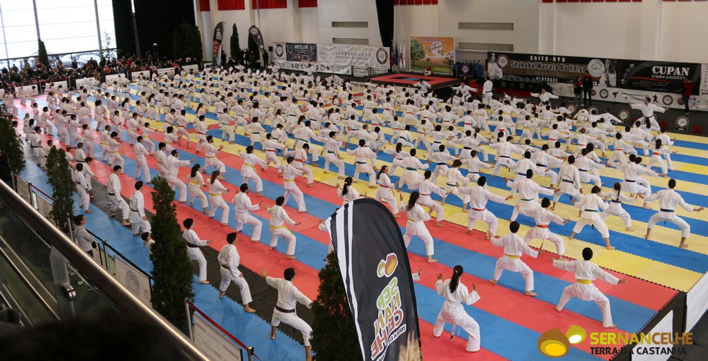 Centenas de praticantes de Karaté Shukokai no Estágio de inverno em Sernancelhe