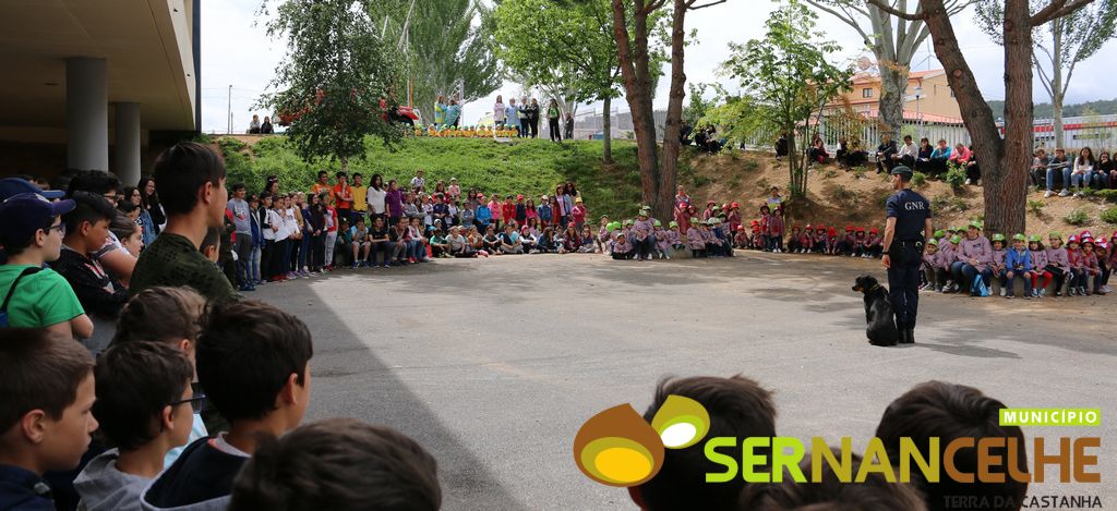 AGRUPAMENTO DE ESCOLAS DE SERNANCELHE CELEBROU DIA DA CRIANÇA COM TODOS OS ALUNOS DO CONCELHO