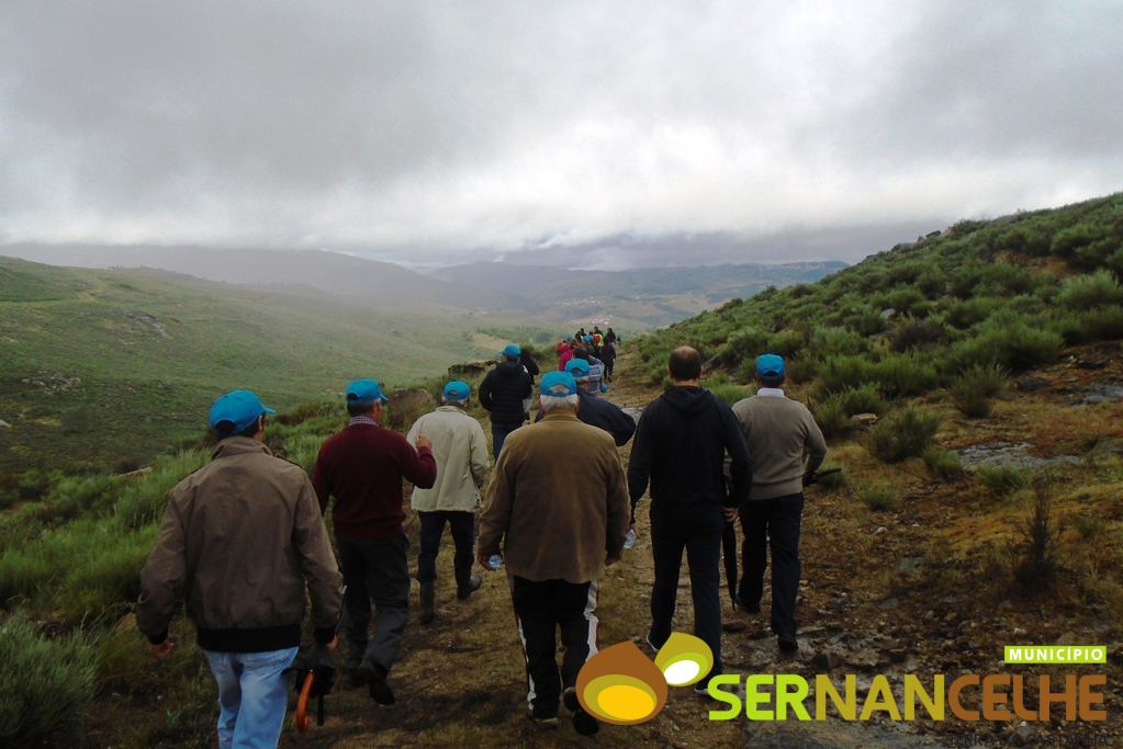 CAMINHADA NA ROTA DOS ENCANTOS DA SERRA DA ZEBREIRA: HÁ CINCO ANOS A DESCOBRIR A ALDEIA DE MACIEIRA