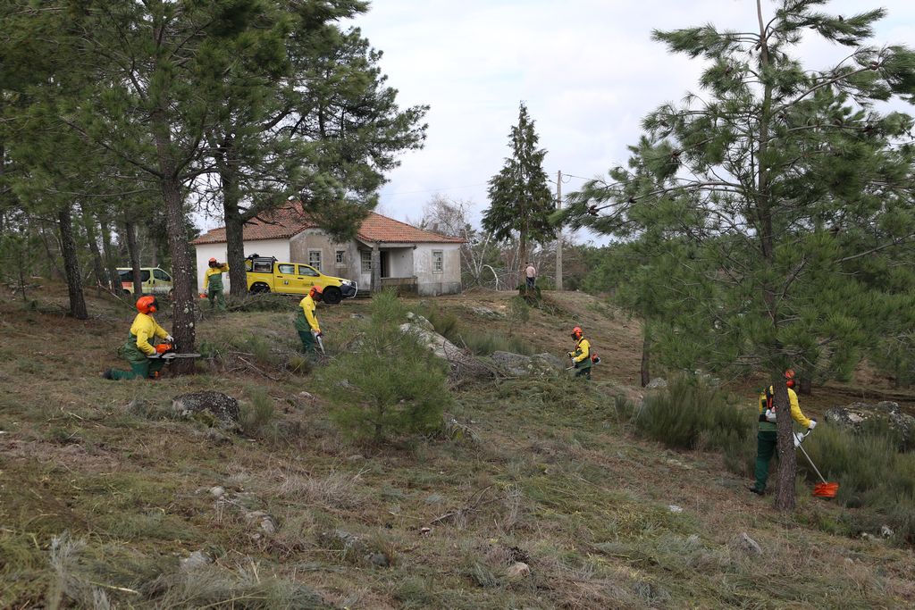 Equipa de Sapadores Florestais de Sernancelhe está já a trabalhar na floresta para proteger o Concelho