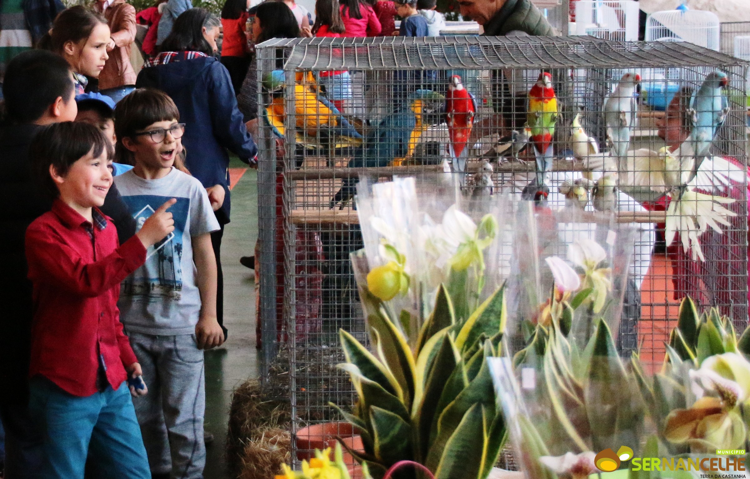 EXPO JARDIM E ANIMAIS