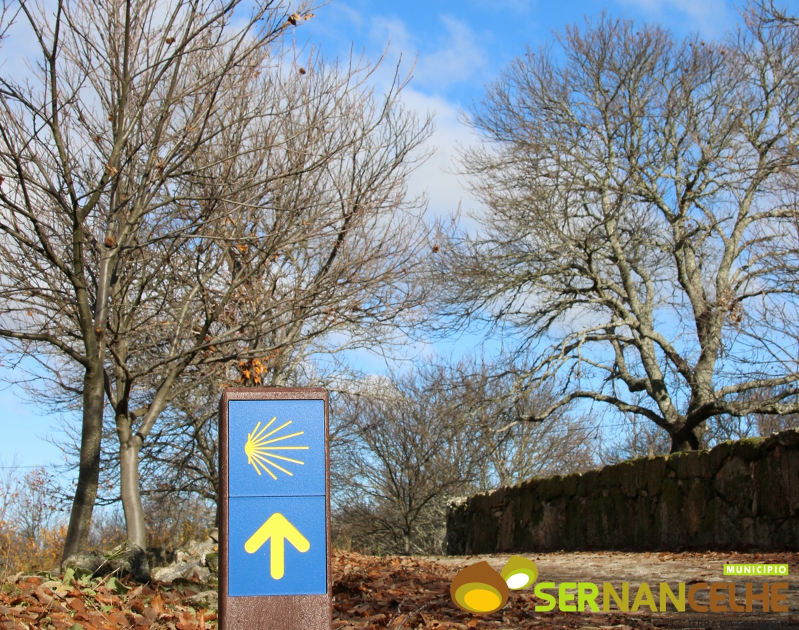 Sernancelhe na rota dos Caminhos de Santiago