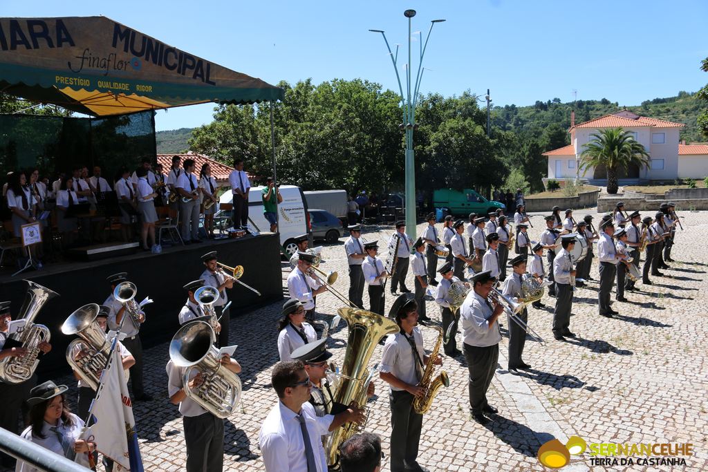 Banda Musical 81 de Ferreirim assinalou 35 anos com encontro de bandas no recinto de Nossa Senhora da Consolação