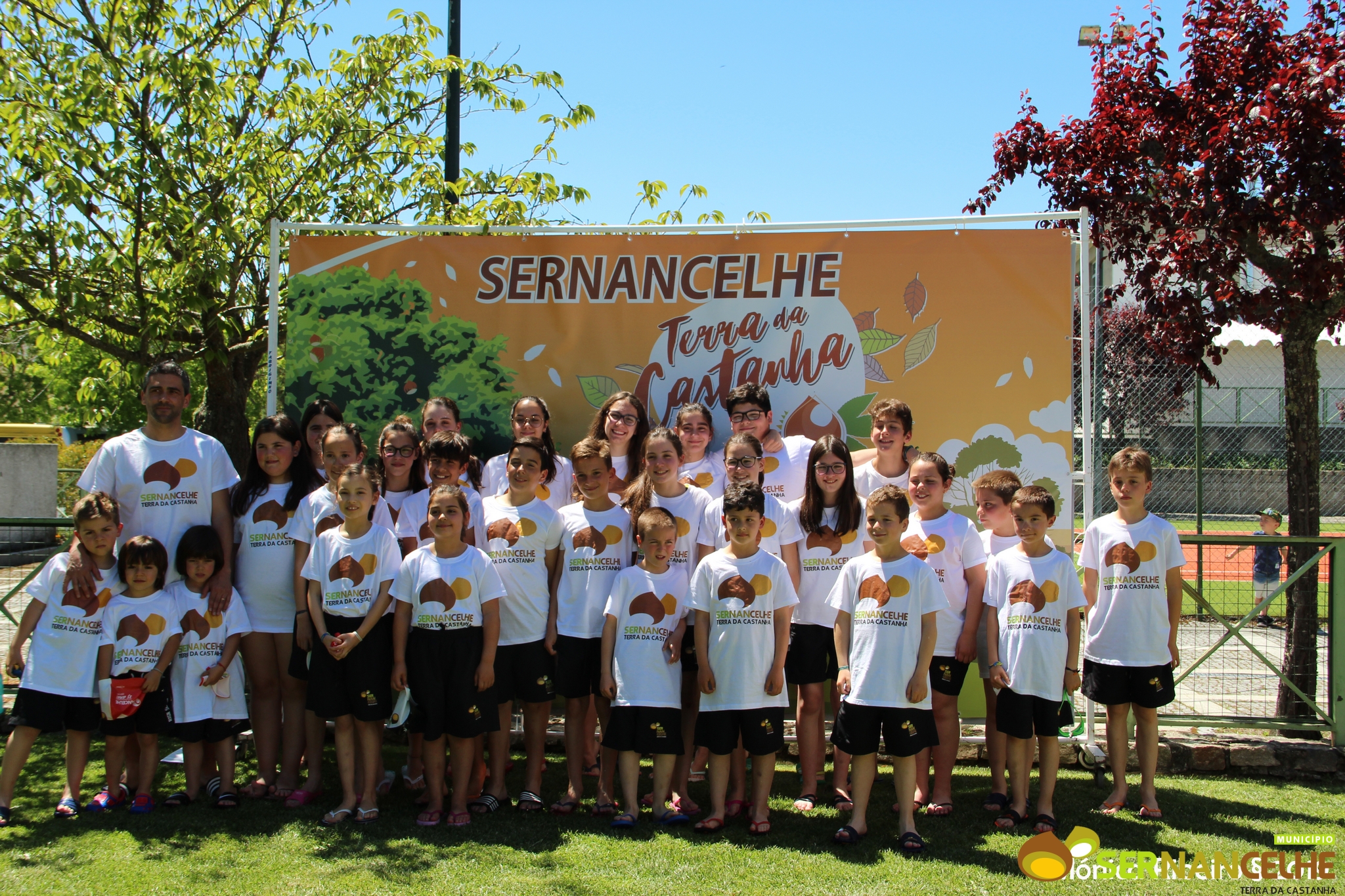 Torneio de natação trouxe à piscina municipal de Sernancelhe cerca de 250 atletas de 17 escolas de Natação