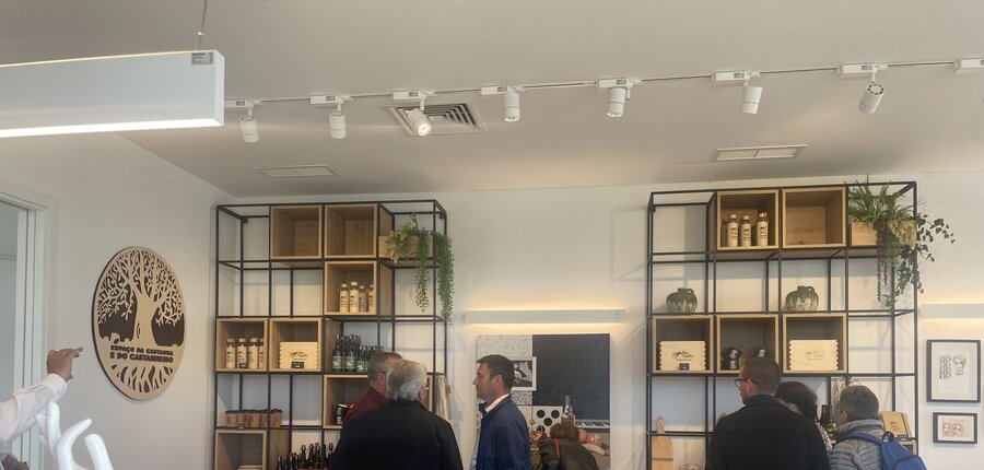 Espaço da Castanha Interior1