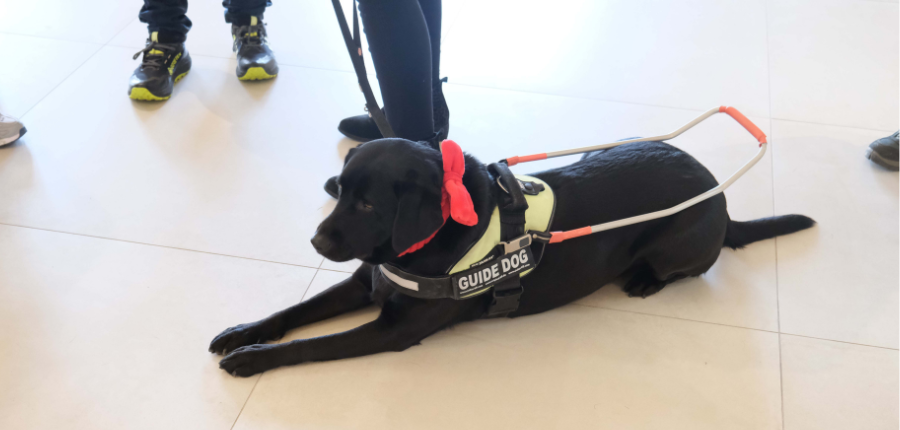 Visita dos Utentes da ACAPO à Sra da Lapa