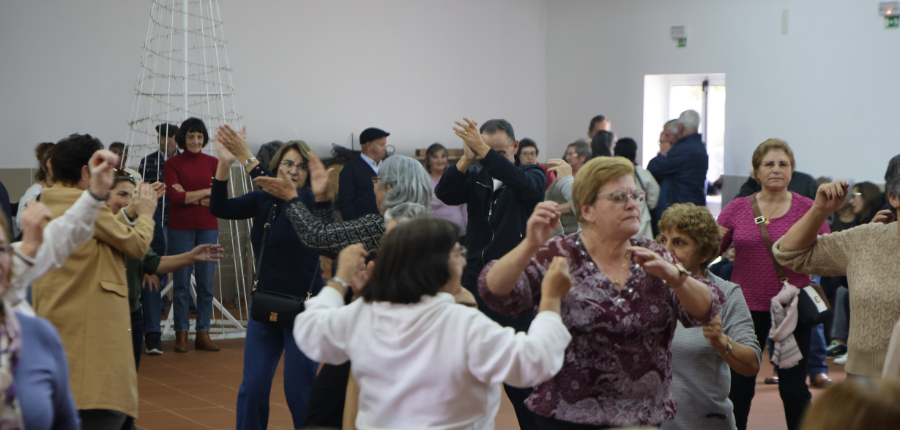 magusto centros lúdicos