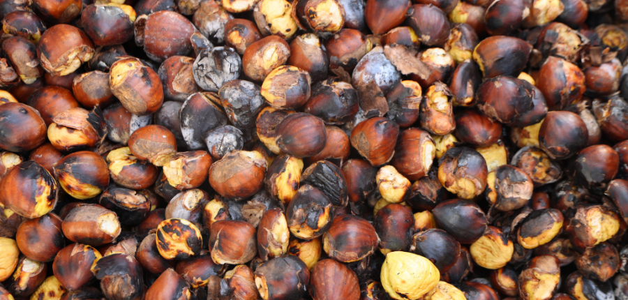 magusto centros lúdicos