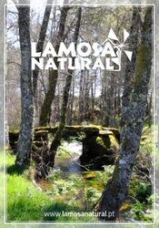 Centro Interpretativo da Rede Natura de Lamosa